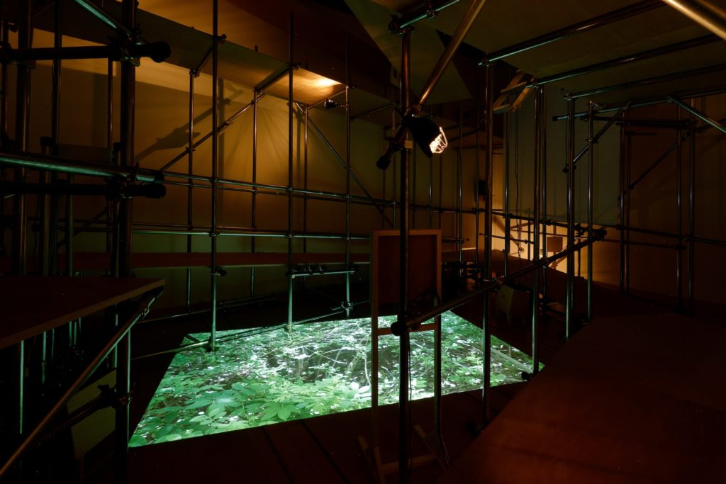 Land Registry (Natsumi Aoyagi + Miyu Hosoi)